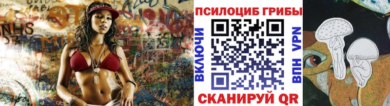 Купить  Темрюк  Галлюциногенные грибы Cubensis 
